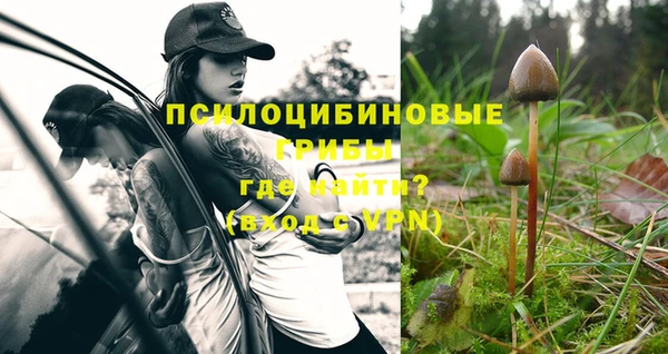 стафф Нефтегорск