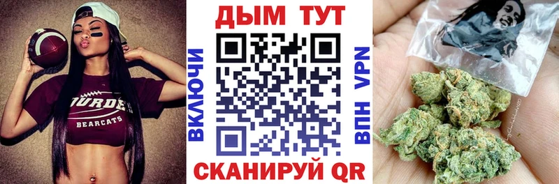 Купить где  Саратов  Канабис гибрид 